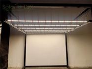 Full Spectrum LED Grow Light Meanwell 600w Samsung High Efficicency LED Horticulture Grow Lights