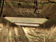 Greenhouse 240Watt Tent 2x2 Led Grow Light