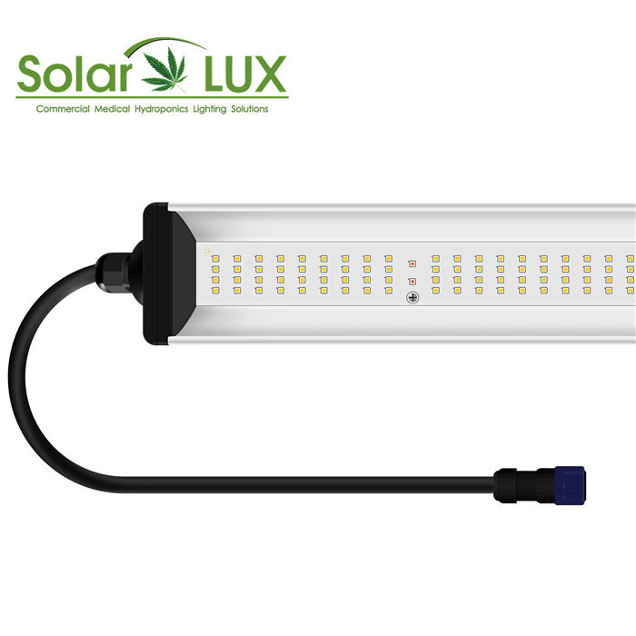 100Watt Horticulture Manual Dimming Daisy Chain Grow Lights