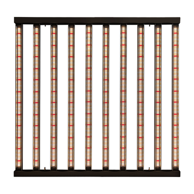 Gartenbau LED 1200W 10Bars Samsung LM301H wachsen das helle Innenwachsen
