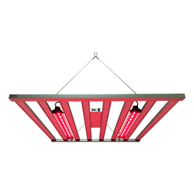 volles Licht 800W 8Bars Samsung LM281B Spektrum-LED für Innen-Hydroponik 4x4 ft