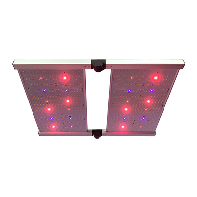 Brett LED RedFarm 480W 3500K Quantum wachsen Lichter Samsung LM301H