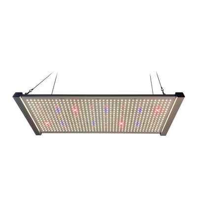 Brett LED 320W Quantum wachsen Licht-volles Spektrum SEOUL UV-395nm