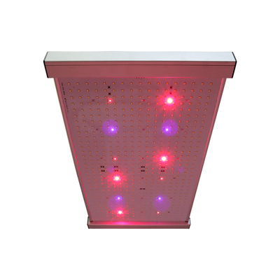 Quantum 2x2 LED wachsen hell